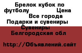 Брелок кубок по футболу Fifa 2018 › Цена ­ 399 - Все города Подарки и сувениры » Сувениры   . Белгородская обл.